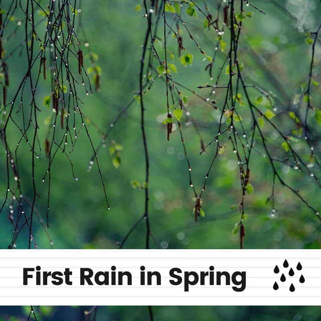 First Rain in Spring - Relaxing Rain