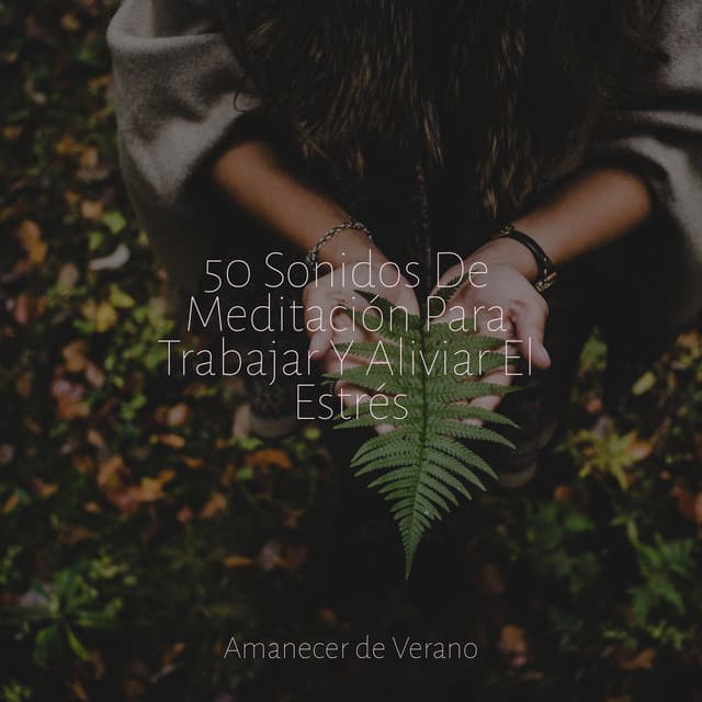 50 Sonidos De Meditación Para Trabajar Y Aliviar El Estrés - PowerThoughts Meditation Club