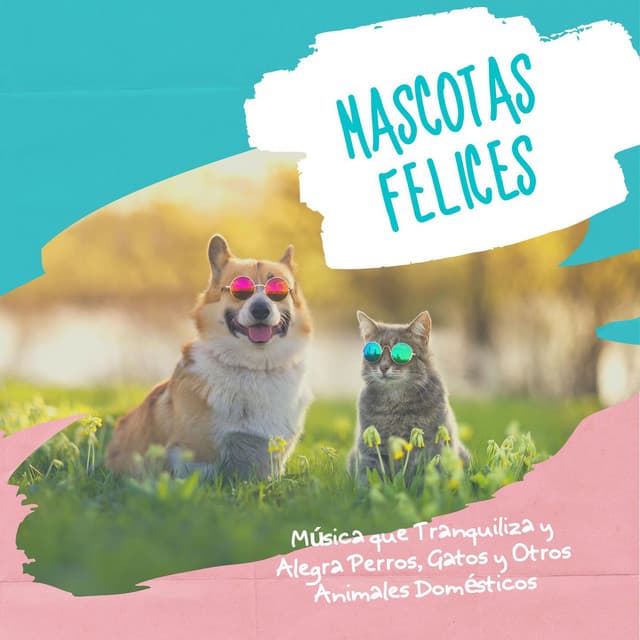 Mascotas Felices: Música que Tranquiliza y Alegra Perros, Gatos y Otros Animales Domésticos - Pensamiento Positivo