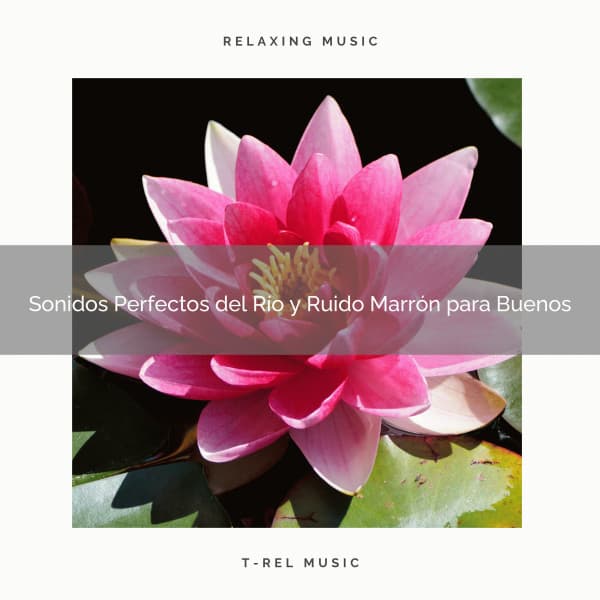 Sonidos Perfectos del Río y Ruido Marrón para Buenos - Ruido Blanco