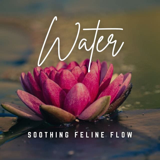 Music to Soothe Your Kitty: Tranquil Water Melodies - Water Meditations
