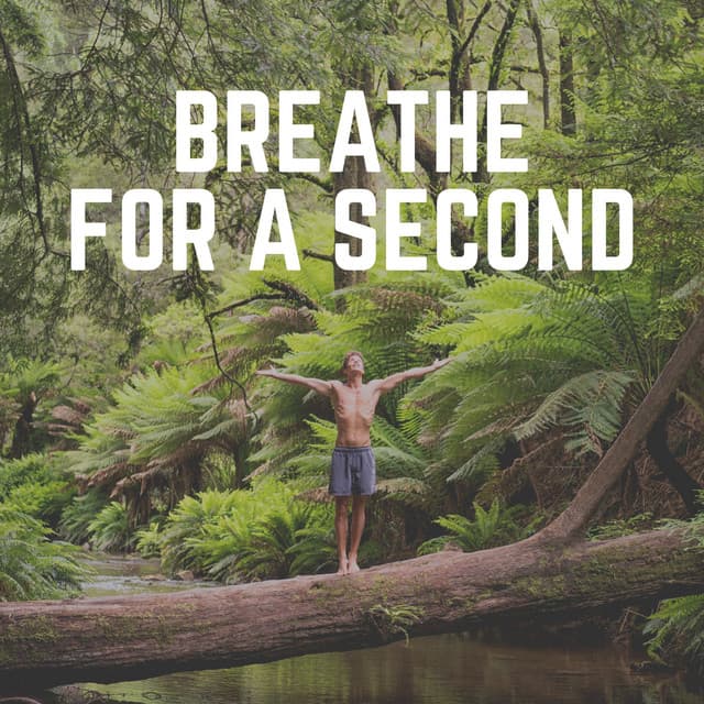 Breathe for a Second - Zen Garden Secrets