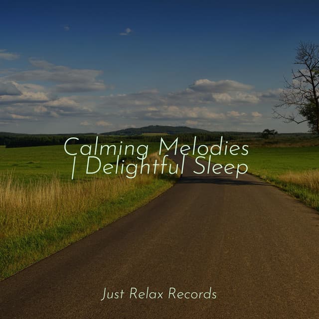 Calming Melodies | Delightful Sleep - Nature Sounds Nature Music