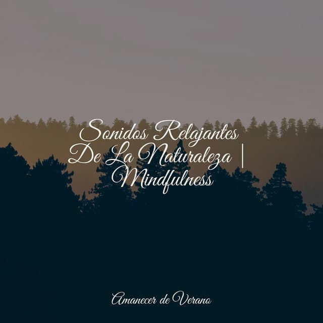 Sonidos Relajantes De La Naturaleza | Mindfulness - Mantra para Meditar