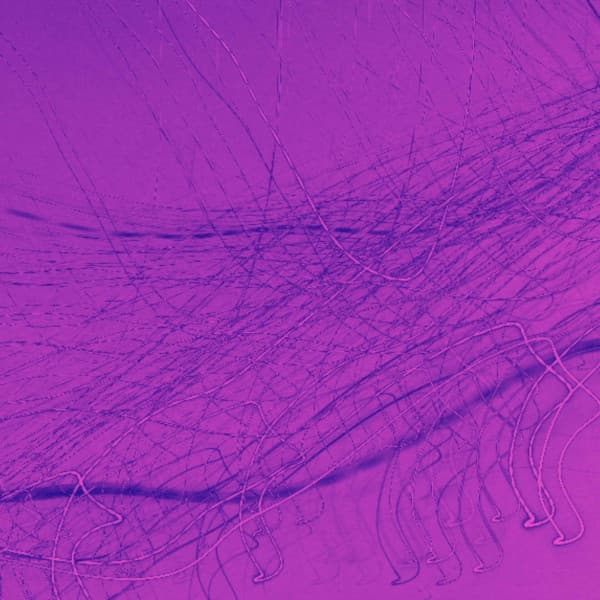 Cultivated Background Music for Lounging Luxury - Musica Hoteles