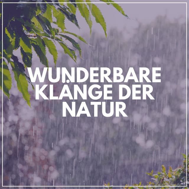 Wunderbare Klänge der Natur - Regen zum Schlafen