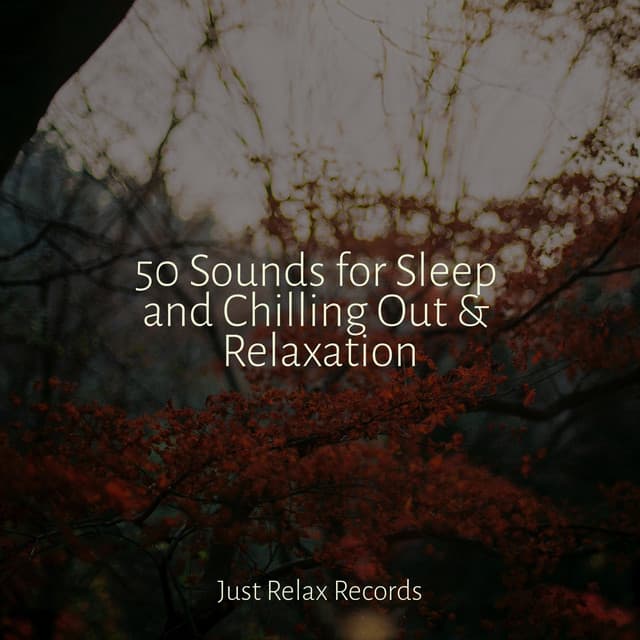50 Sounds for Sleep and Chilling Out & Relaxation - Musica romantica instrumental