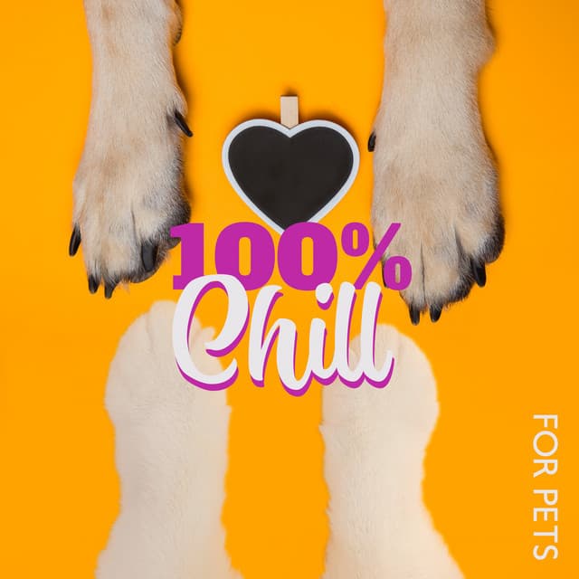 100% Chill for Pets - My Best Friend - Pets Music
