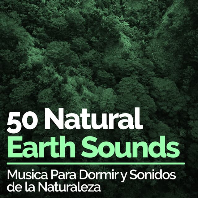 50 Natural Earth Sounds - Musica Para Dormir y Sonidos de la Naturaleza