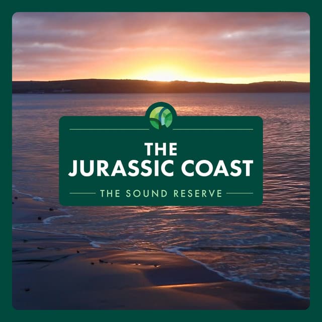 The Jurassic Coast - The Sound Reserve