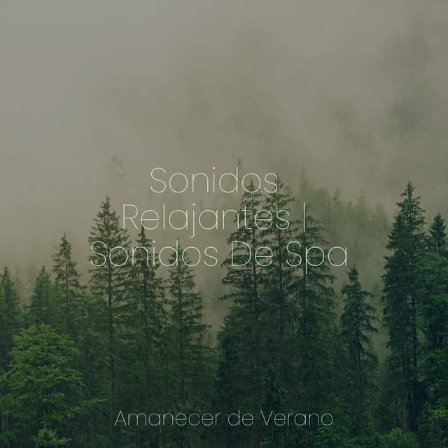 Sonidos Relajantes | Sonidos De Spa - Yoga Music