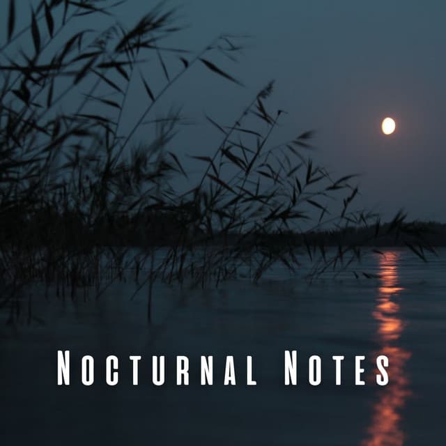 Nocturnal Notes: Creek and Bird Sleep Serenades - Pinetree Way