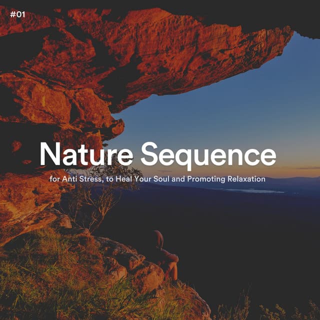 #01 Nature Sequence for Anti Stress, to Heal Your Soul and Promoting Relaxation - The Nature Soundscapes