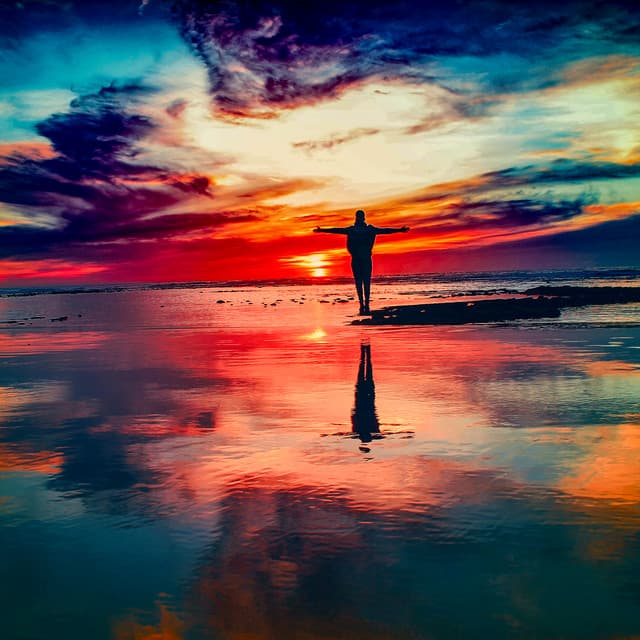 50 Ambient Waves: Driftwood Dreams - Sea Waves Sounds