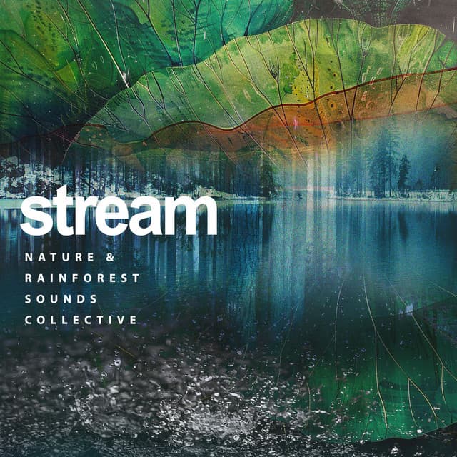 Stream - Nature & Rainforest Sounds Collective