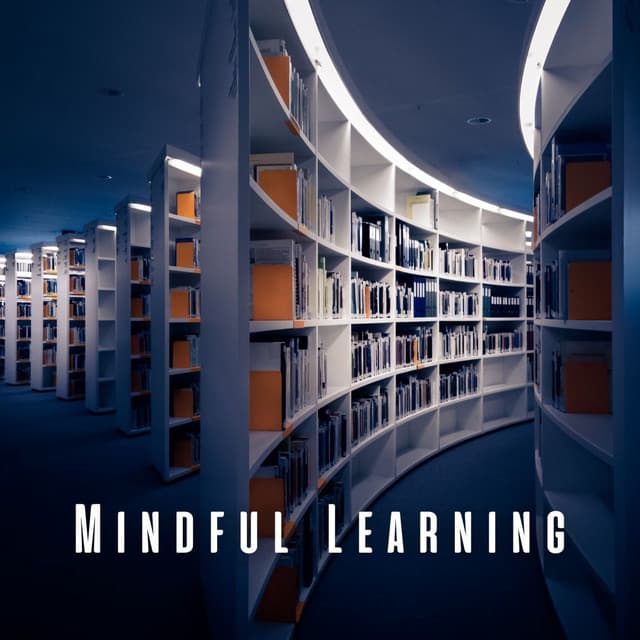 Mindful Learning: White Noise for Concentrated Study - Studying Music Playlist