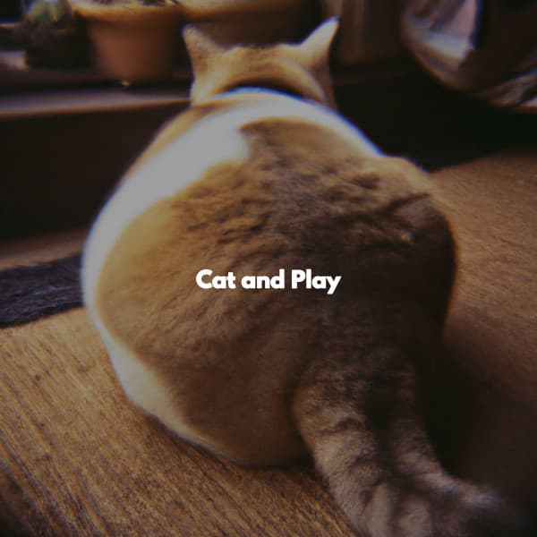 Cat and Play - Relaxing Music Playlist