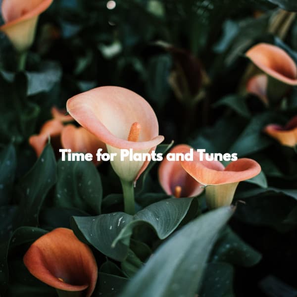 Time for Plants and Tunes - Jazz Suave