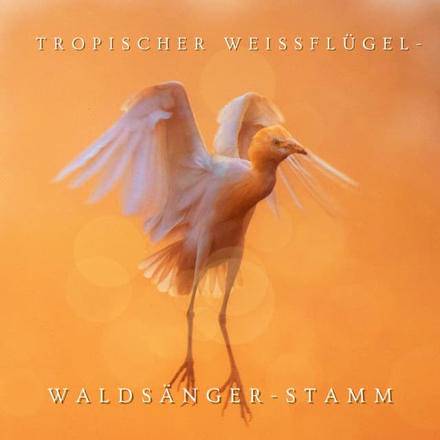 Tropischer Weißflügel-Waldsänger-Stamm - Schlaf Hilfe