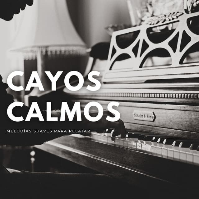 Cayos Calmos: Melodías Suaves Para Relajar - Proyecto de piano