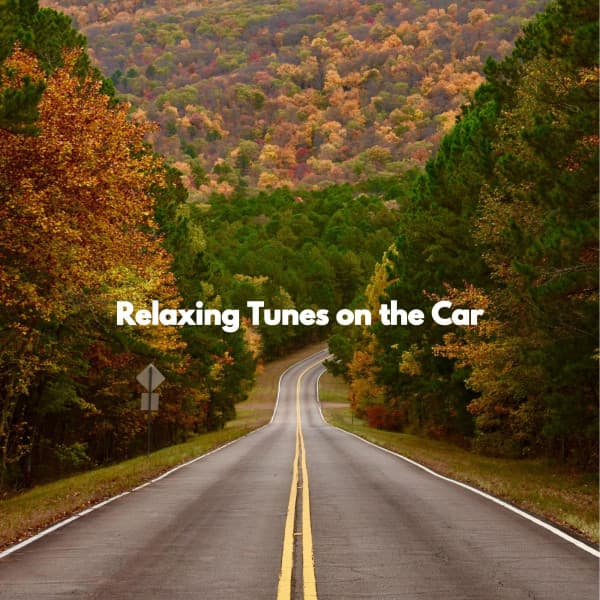 Relaxing Tunes on the Car - Early Morning Jazz Playlist