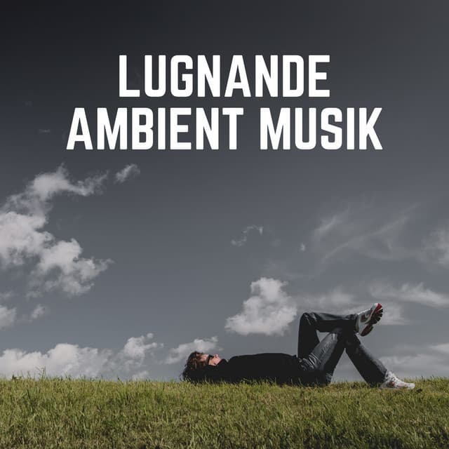 Lugnande Ambient Musik - Avslappnande Meditation Akademi