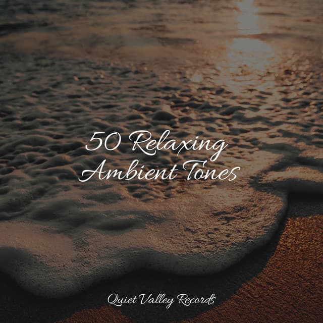 50 Relaxing Ambient Tones - Namaste Healing Yoga
