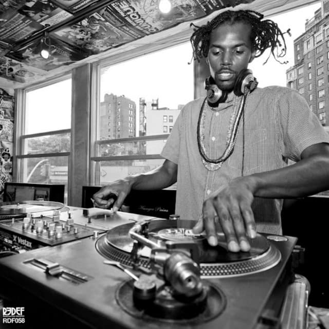 Public Assembly - Damu The Fudgemunk