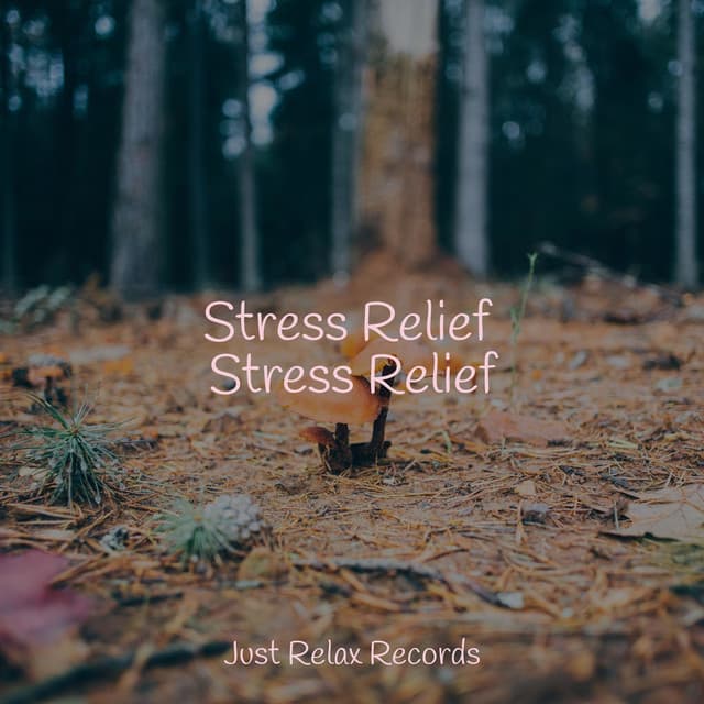 Stress Relief Stress Relief - Calm Music for Studying