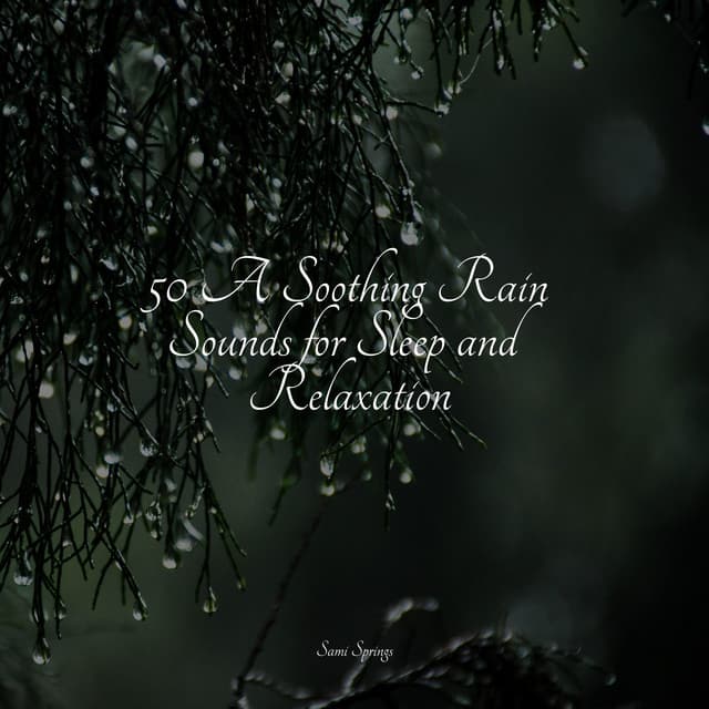 50 A Soothing Rain Sounds for Sleep and Relaxation - Sleep Waves