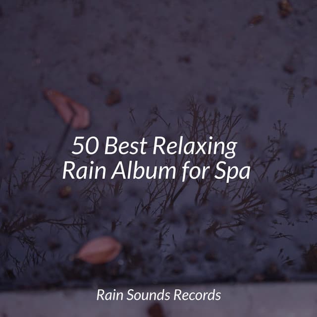 50 Best Relaxing Rain Album for Spa - Rising Higher Meditation