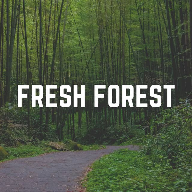 Fresh Forest - Organic Sound