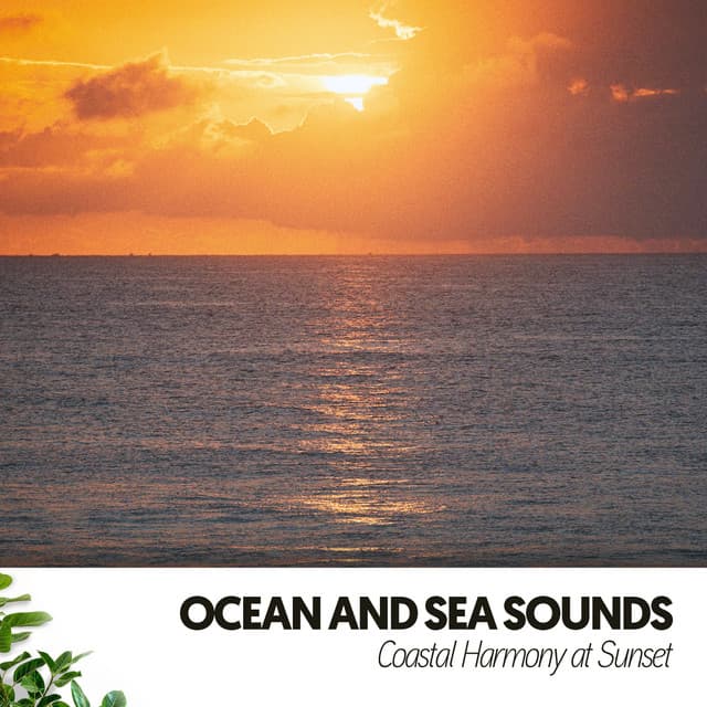 Ocean and Sea Sounds: Coastal Harmony at Sunset - Ruido Blanco Hart