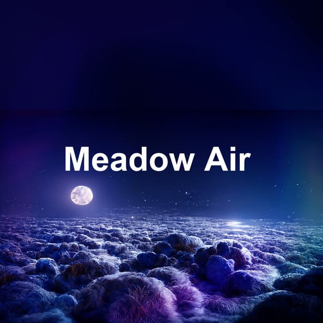Meadow Air - Owl Sounds Recordings