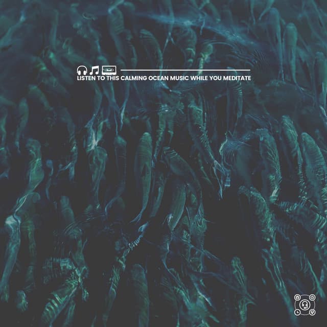 Listen to This Calming Ocean Music While You Meditate - ASMR Earth