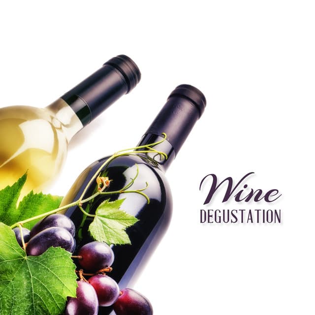 Wine Degustation - Music for Gourmets and Wine Connoisseurs - Instrumental Music Ensemble