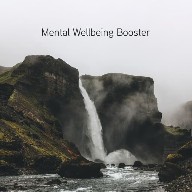 Mental Wellbeing Booster - Asana Voce