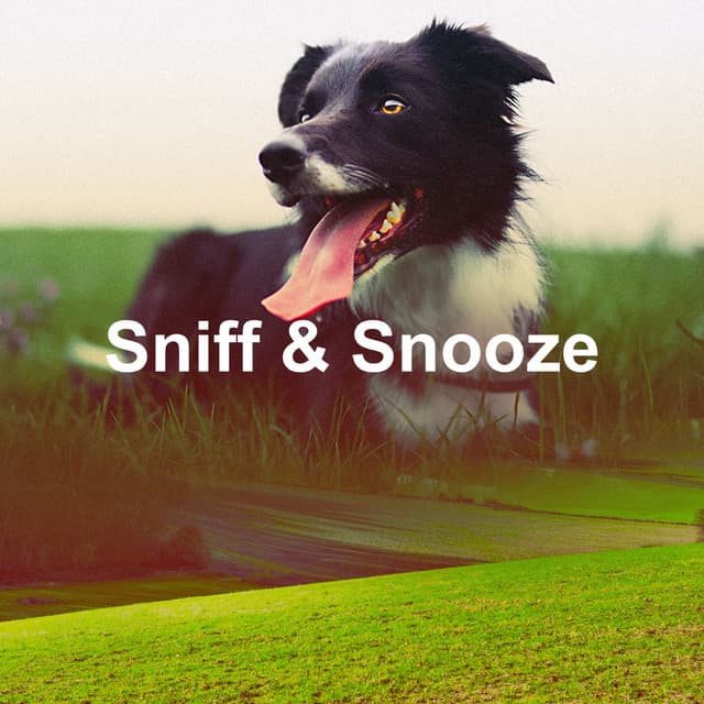 Sniff & Snooze - Puppy Music Dreams