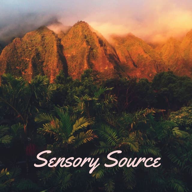 Sensory Source - Masala Roo