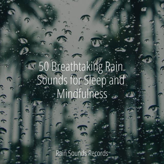 50 Breathtaking Rain Sounds for Sleep and Mindfulness - Anxiety Relief