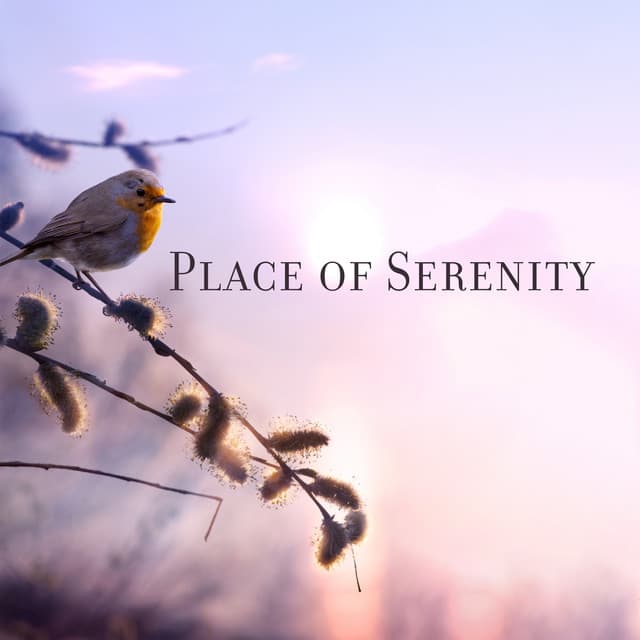 Place of Serenity: Relax in a Garden Full of Beautiful Bird Sounds - Sound of Nature Library