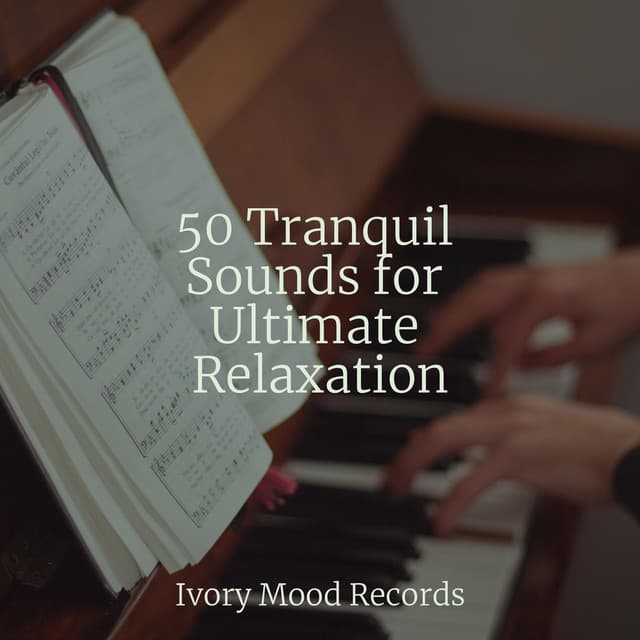 50 Tranquil Sounds for Ultimate Relaxation - Relaxing Instrumental Jazz Academy