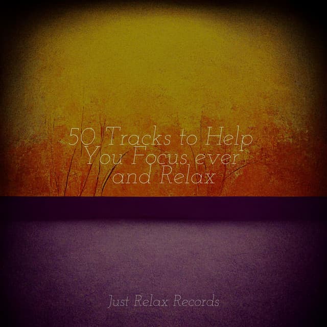 50 Tracks to Help You Focus ever and Relax - Dormir