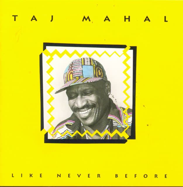 Like Never Before - Taj Mahal