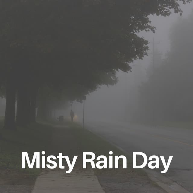 Misty Rain Day - Sample Rain Library