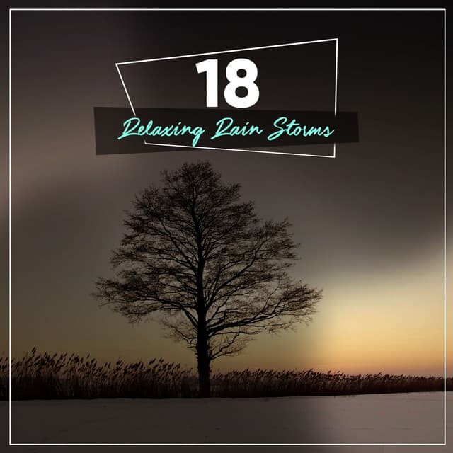 14 Zen Rain Tracks for Yoga - Ambientalism