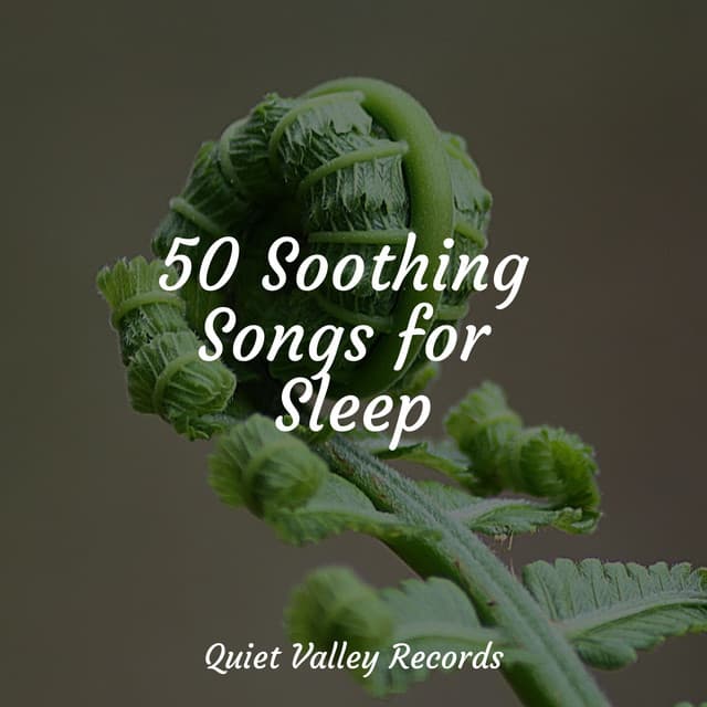 50 Soothing Songs for Sleep - Musica Para Dormir y Sonidos de la Naturaleza