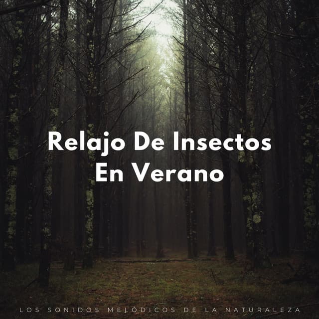 Relajo De Insectos En Verano: Los Sonidos Melódicos De La Naturaleza - Naturaleza nativa americana