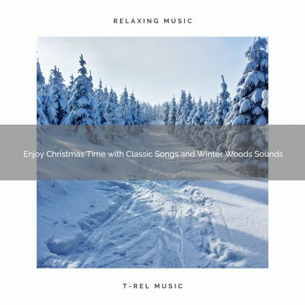 Enjoy Christmas Time with Classic Songs and Winter Woods Sounds - The Outdoor Library