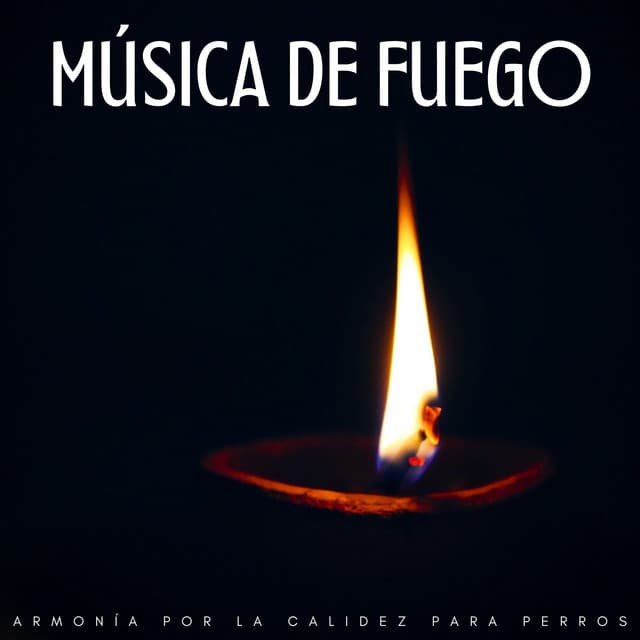 Música De Fuego: Armonía Por La Calidez Para Perros - Sonidos cálidos y fríos de fuego